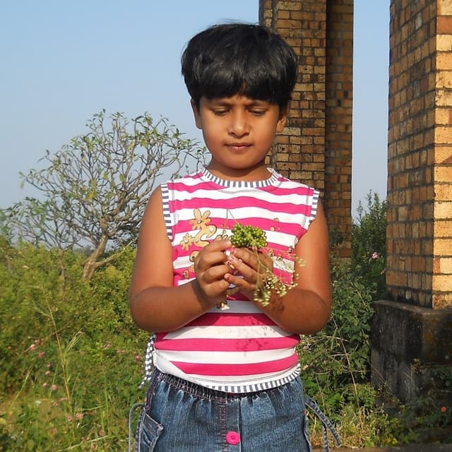 Shirshaa Ghosh avatar