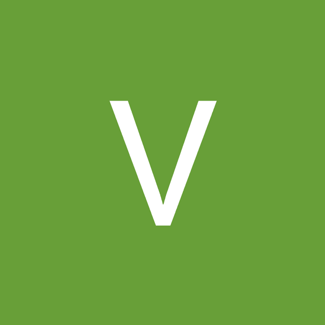 VVIP Model avatar