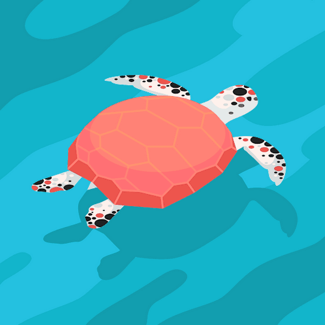 Kailey S avatar