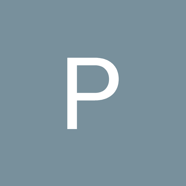 Peter Birsen avatar