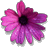 dark_violetpk avatar
