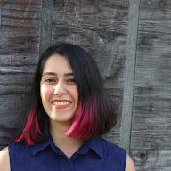 Sarvin Parviz avatar