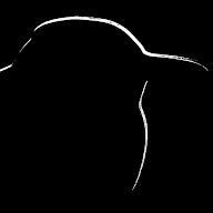 tiny wren lit avatar