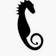 Hippocampus Magazine (Hippocampus Magazine) avatar