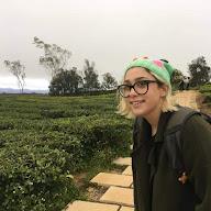 Bri Nivinski avatar