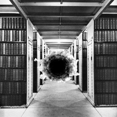 Cover of Free Library of the Internet Void (hiatus)