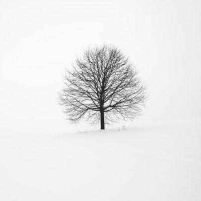 Cover of MONO.