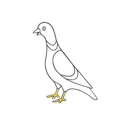 Cover of Pigeon Review
