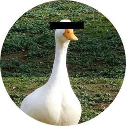 Logo of Sad Goose Cooperative literary magazine