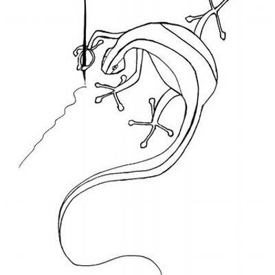 Cover of Salamander