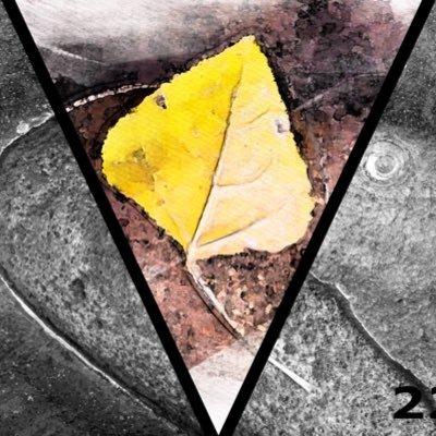Vast Chasm Magazine avatar
