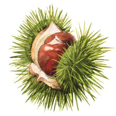 Logo of Chestnut Review literary magazine