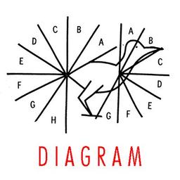 Logo of Diagram literary magazine