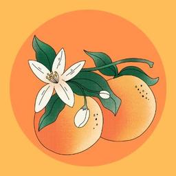 Logo of Orange Blossom Review literary magazine
