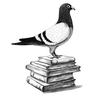 Pigeon Pages logo