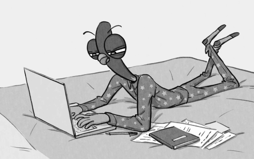 bird lying on the bed staring at the computer