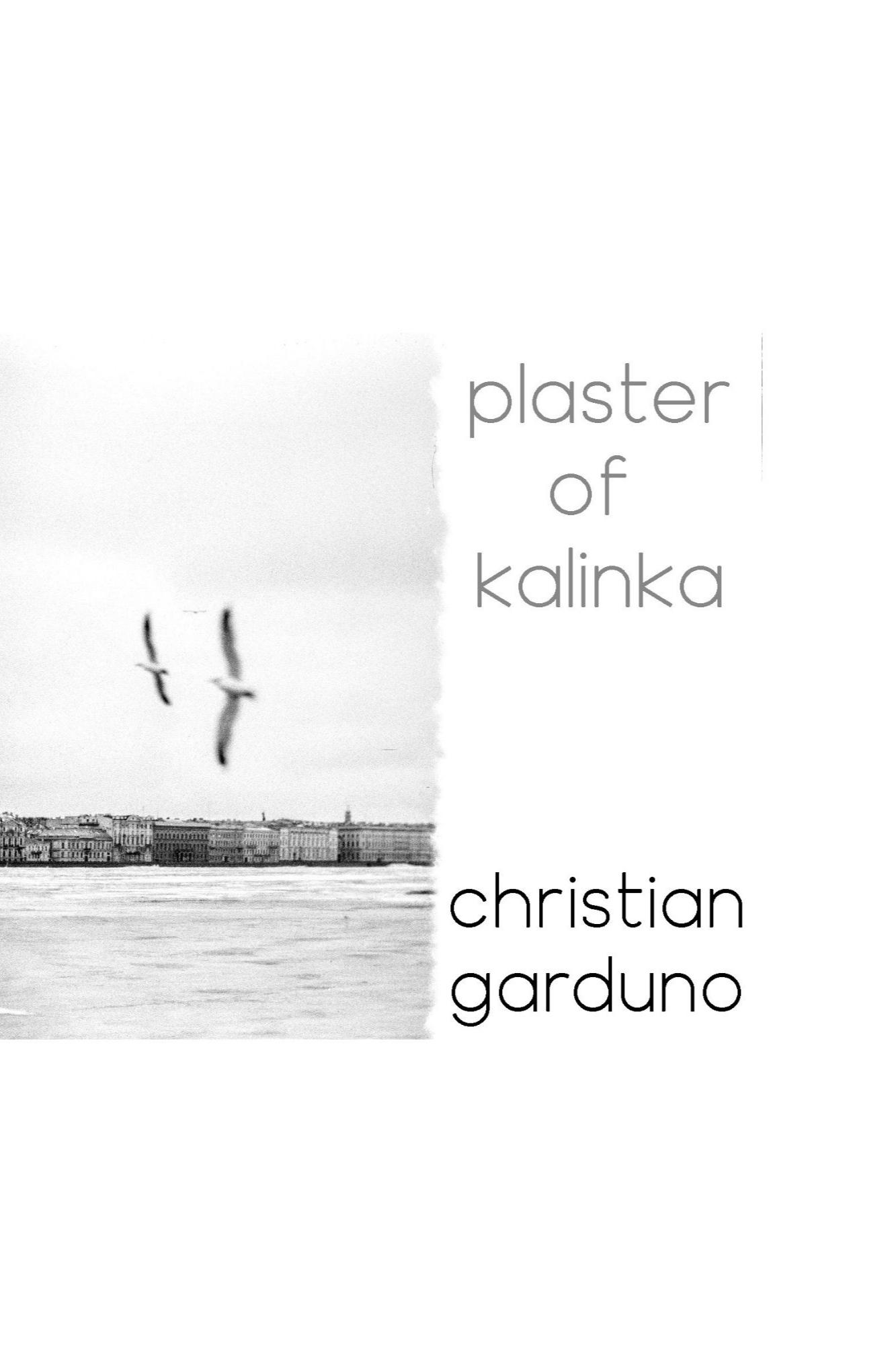 Book cover of Plaster of Kalinka by Christian Garduno