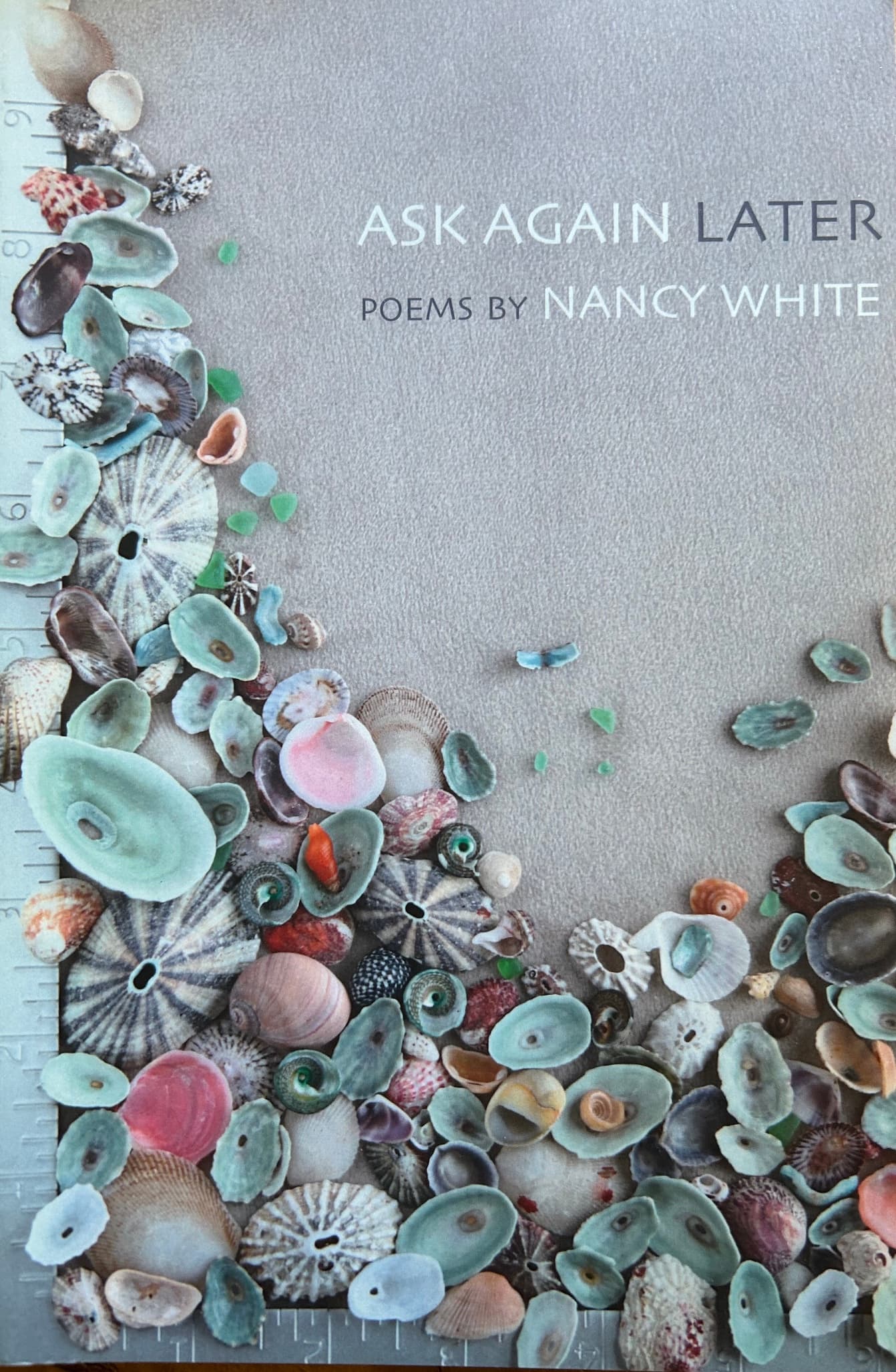 Book cover of Ask Again Later by Nancy White
