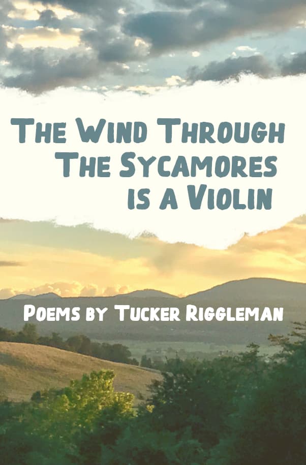 Book cover of The Wind Through the Sycamores is a Violin by Tucker Riggleman