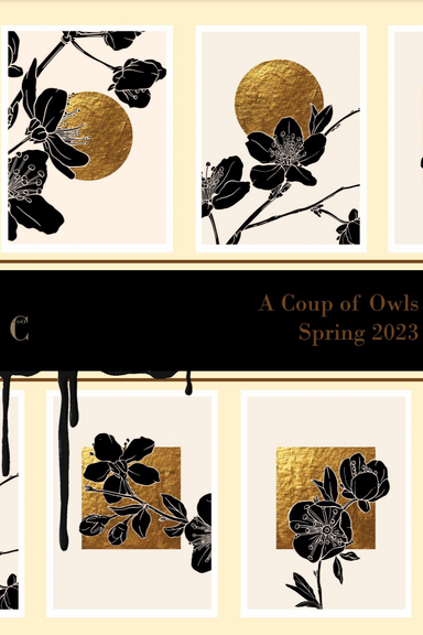 A Coup of Owls latest issue