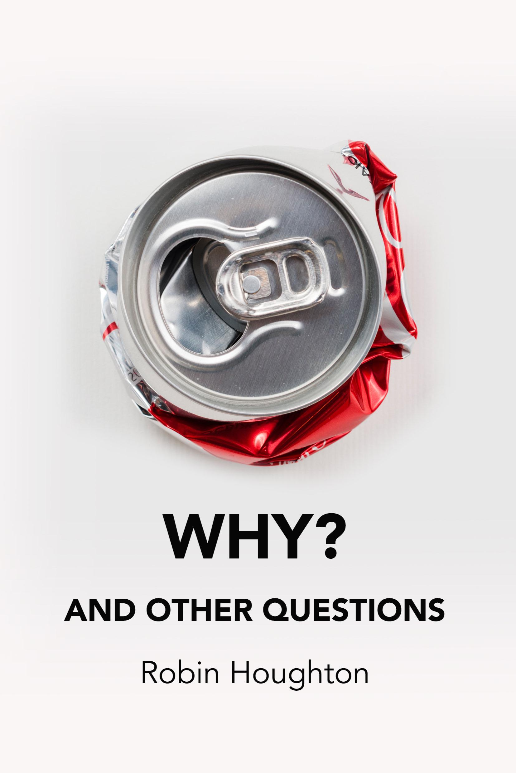 Book cover of Why? And other questions by robinhoughton