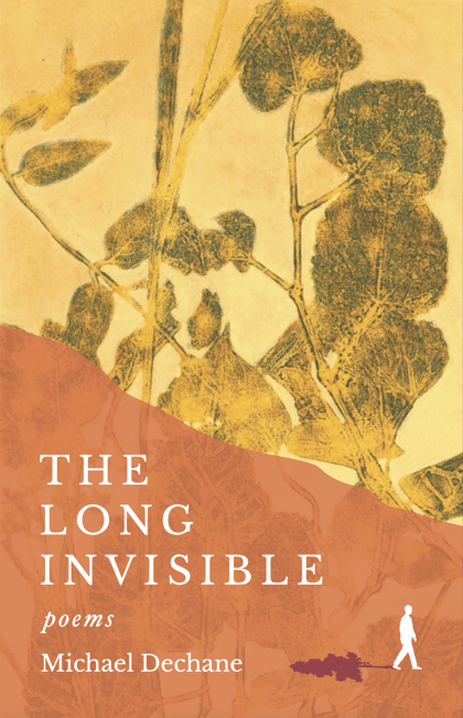 Book cover of The Long Invisible by Wildhouse Publishing