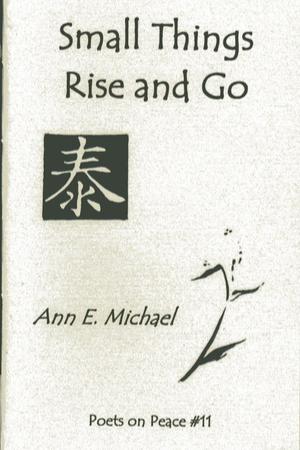 Book cover of Small Things Rise & Go by Ann E. Michael