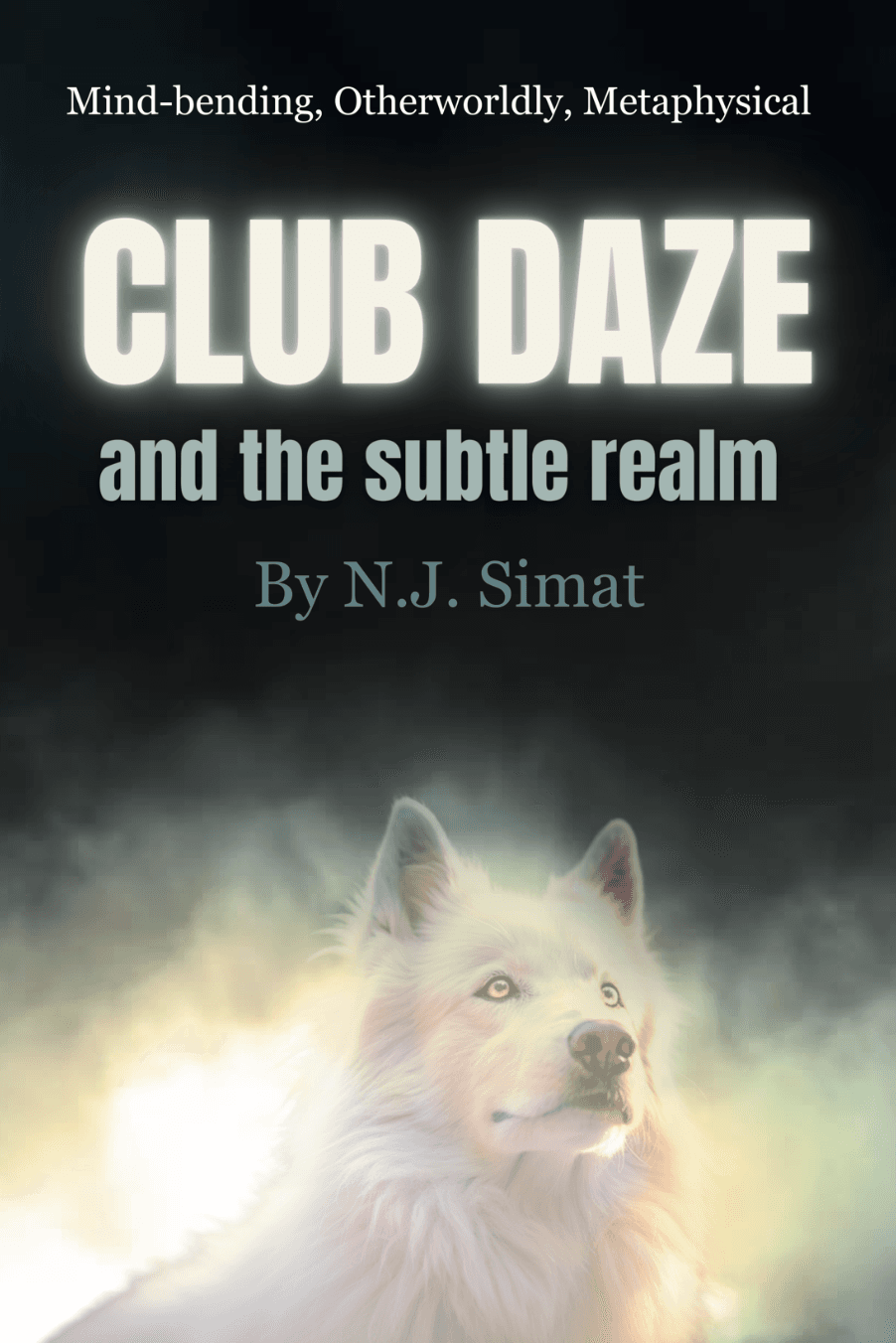 Book cover of Club Daze & The Subtle Realm by N. Simat