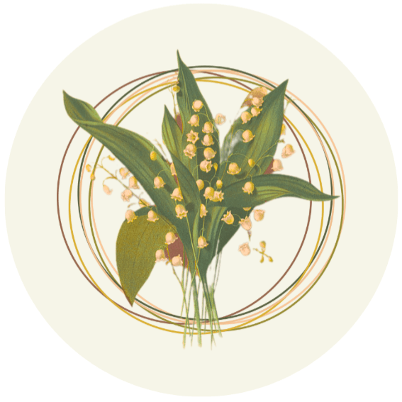 E.L. Howe avatar