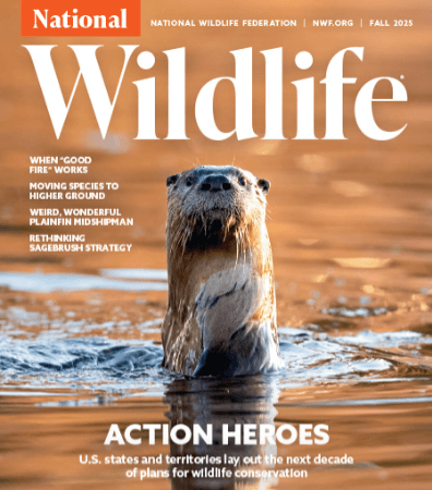 National Wildlife Federation Magazine latest issue