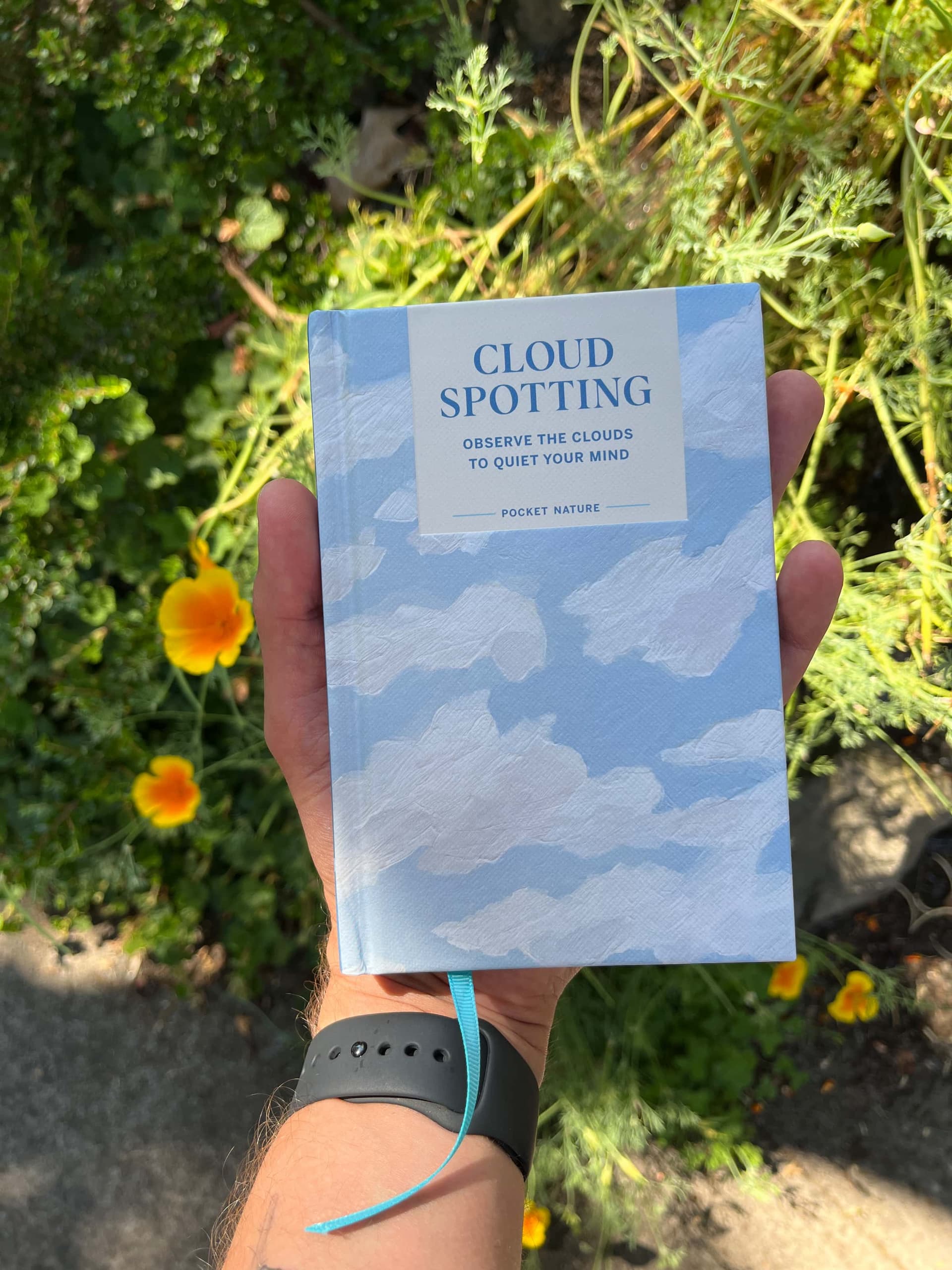 Book cover of Cloud Spotting by Casey Schreiner
