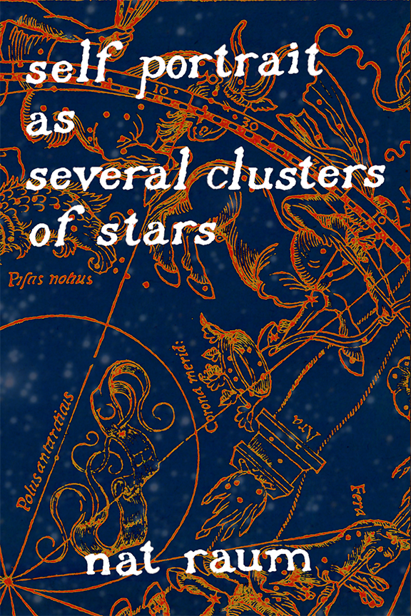 Book cover of self portrait as several clusters of stars by nat raum
