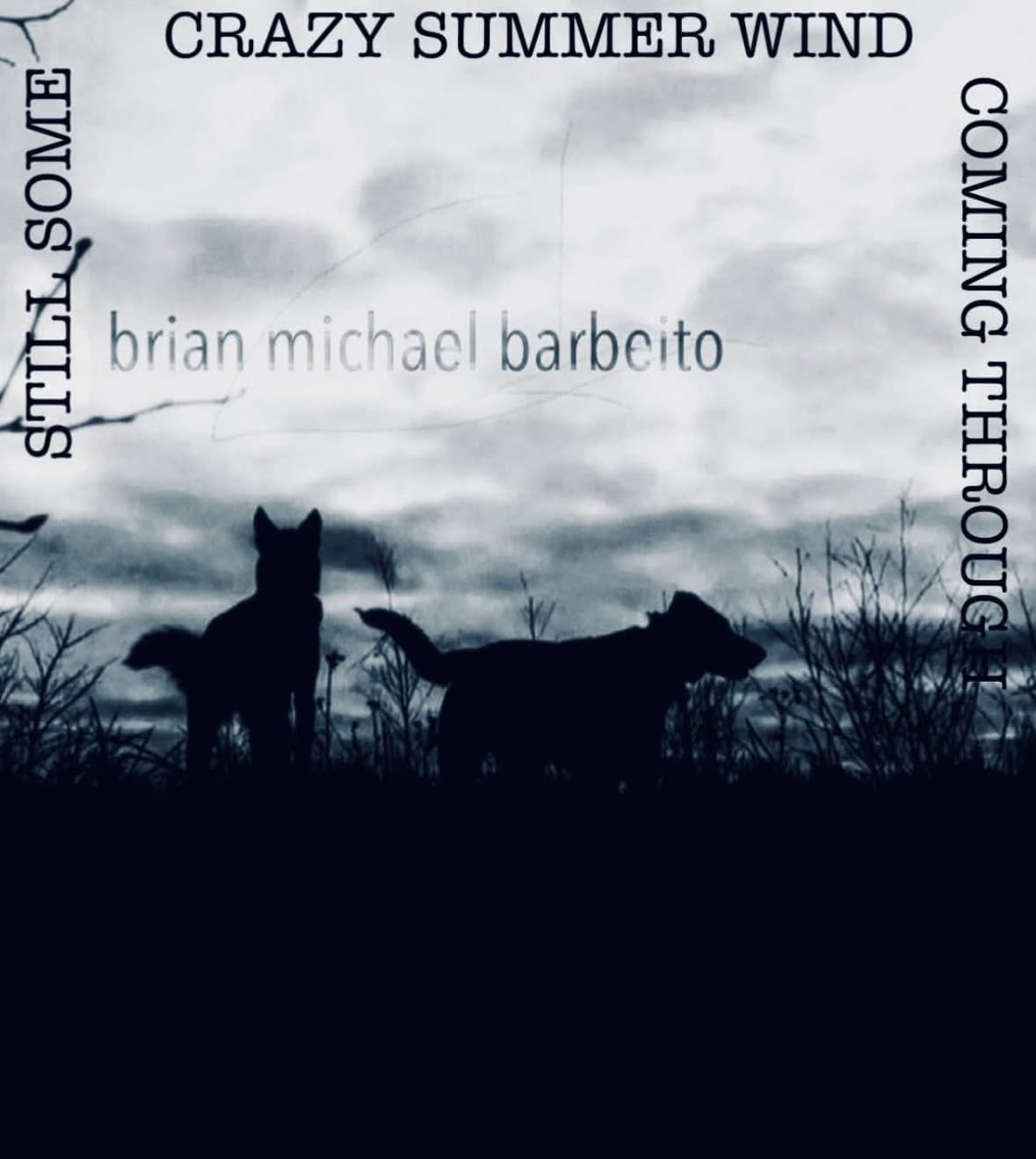 Book cover of Still Some Crazy Summer Wind Coming Through by brian michael barbeito