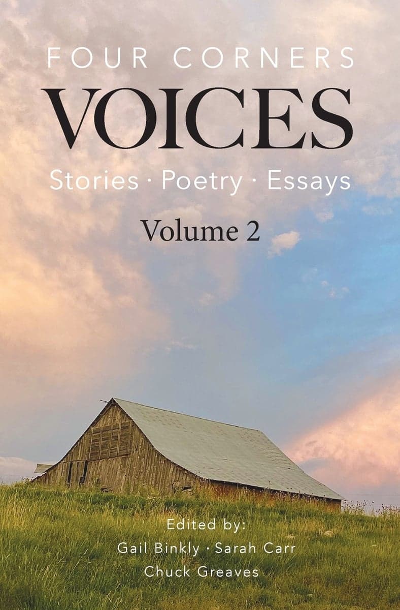 Book cover of Four Corners Voices: Volume 2 by Danielle Shandiin Emerson