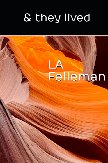 Book cover of & they lived by LA Felleman