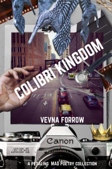 Book cover of Colibri Kingdom by Jazz Marie Kaur