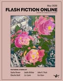 Flash Fiction Online
