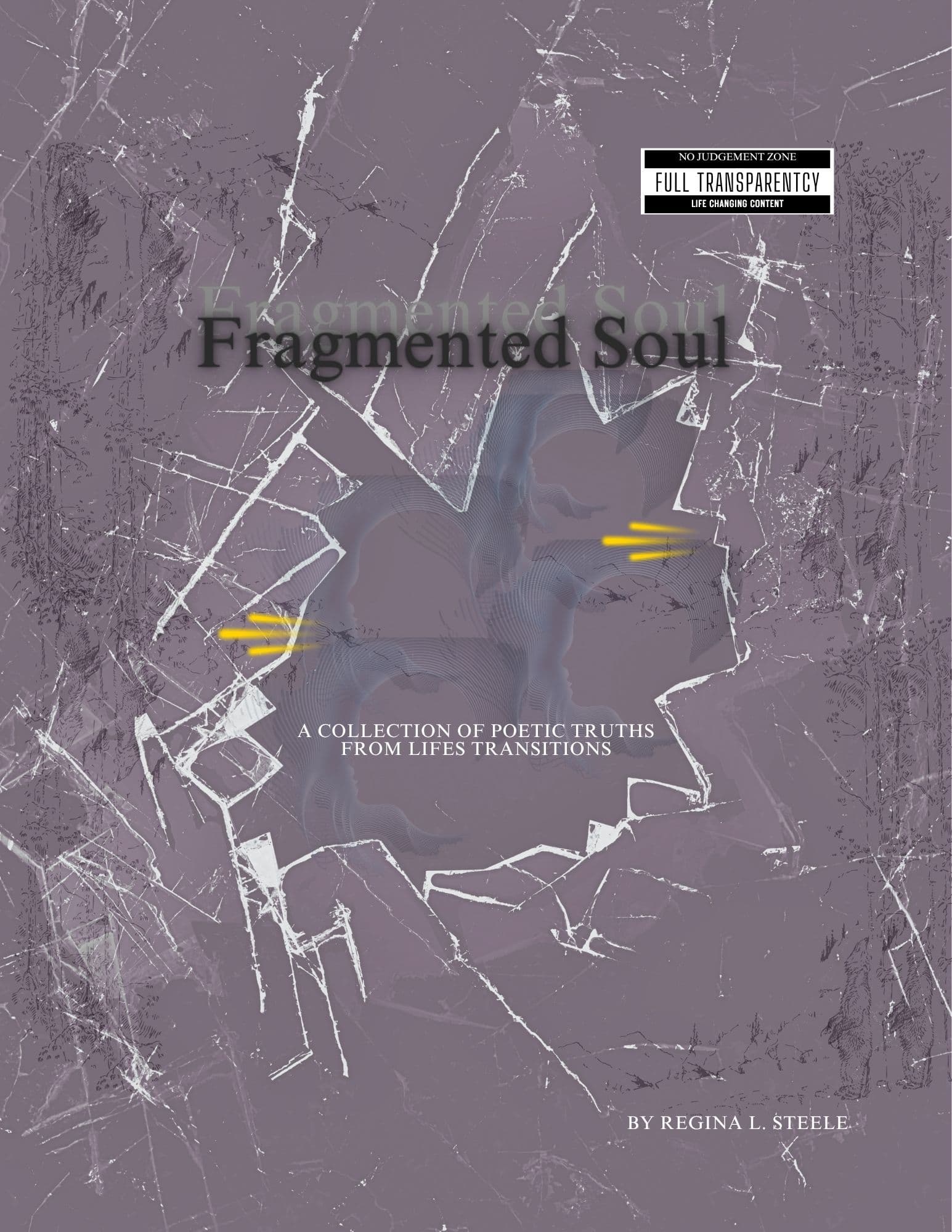 Book cover of Fragmented Soul by rsteele