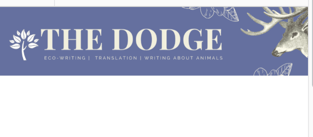 The Dodge Magazine latest issue