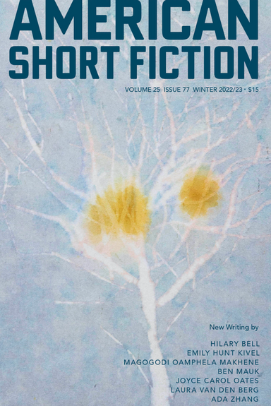 American Short Fiction latest issue