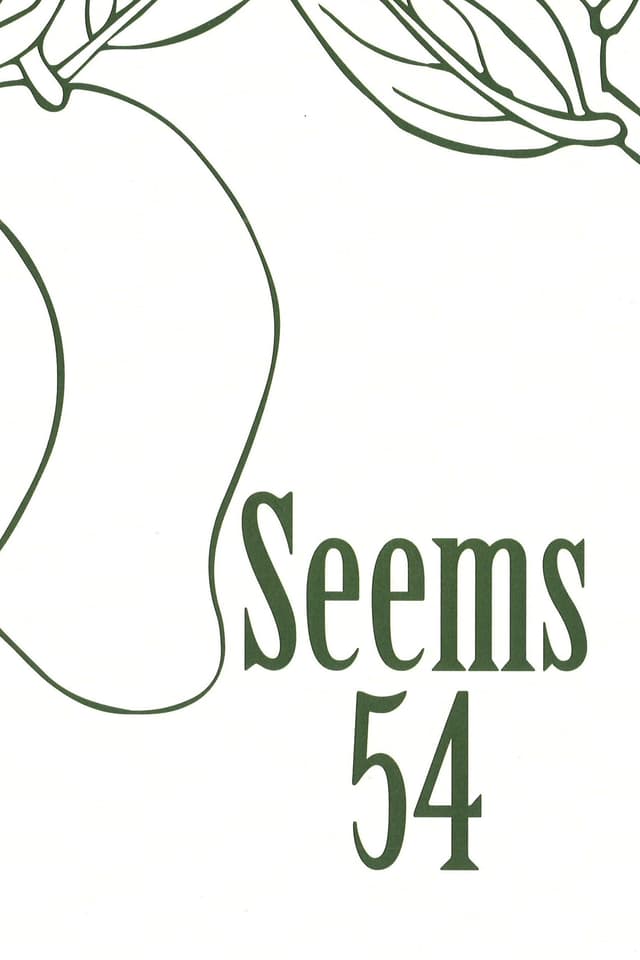 Seems Literary Magazine latest issue