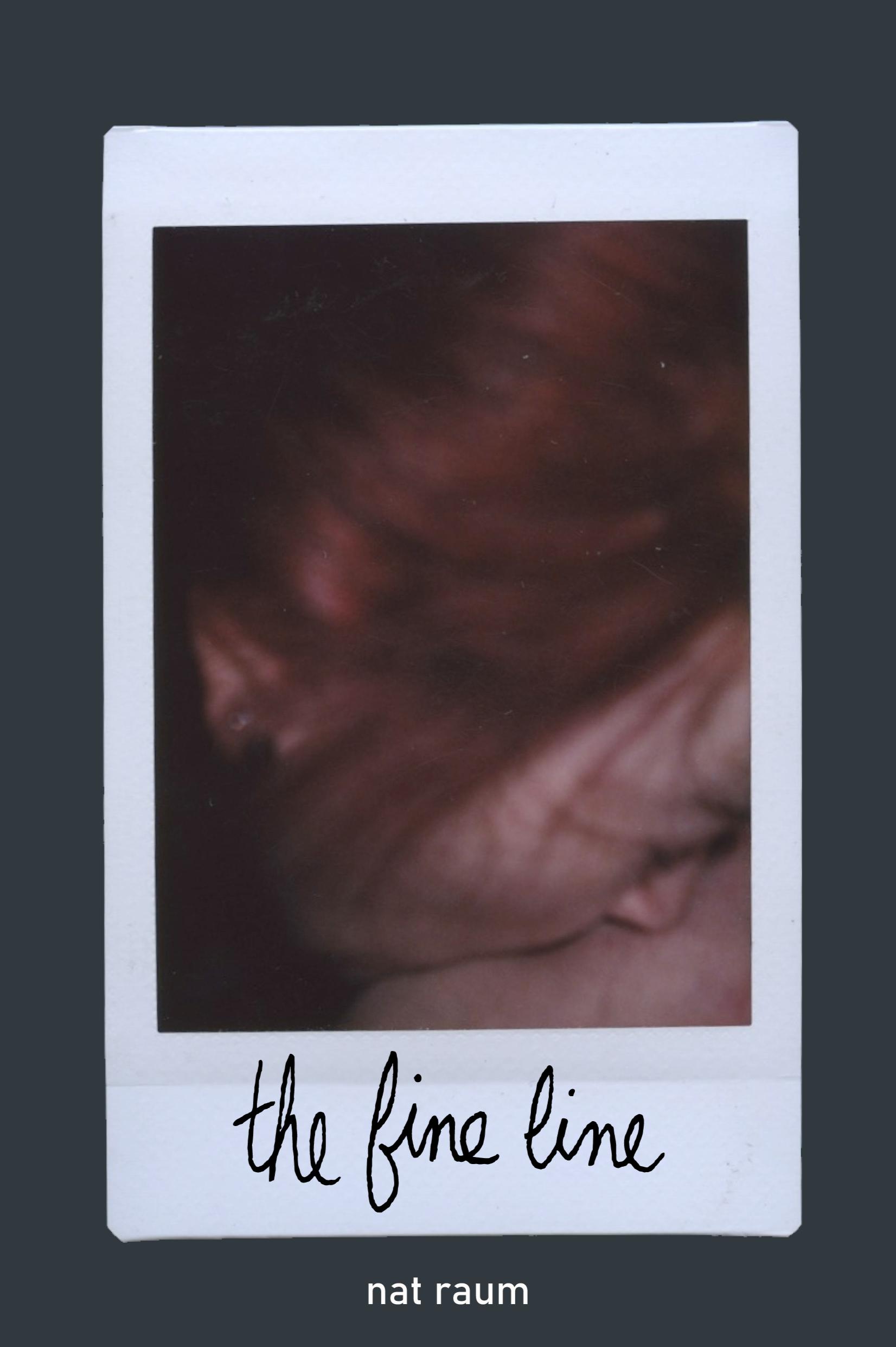 Book cover of the fine line by nat raum