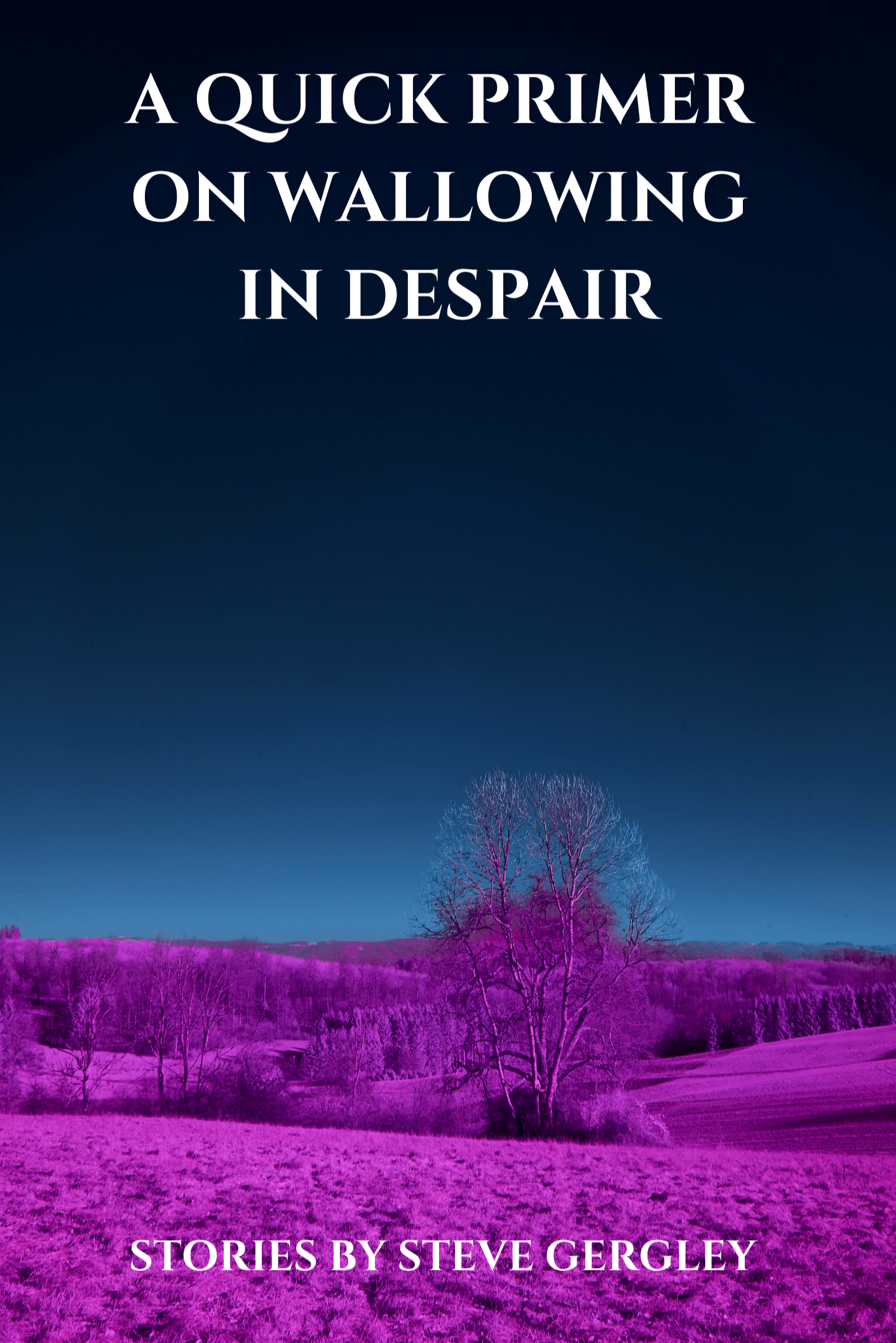 Book cover of A Quick Primer on Wallowing in Despair by Steve Gergley