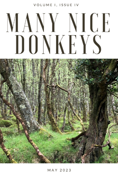 Many Nice Donkeys latest issue