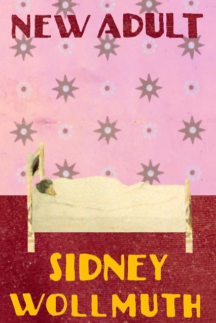 Book cover of New Adult by Sidney Wollmuth 