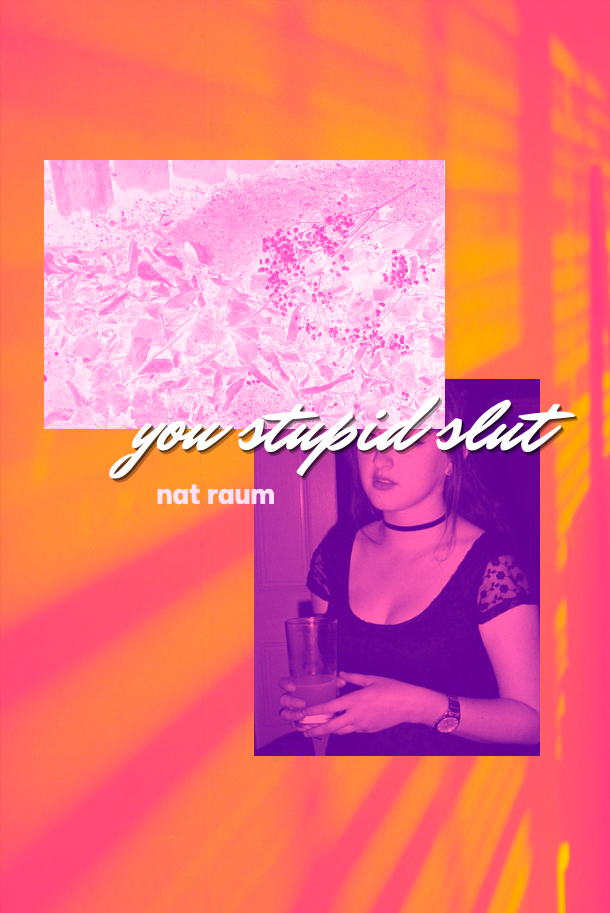 Book cover of you stupid slut by nat raum