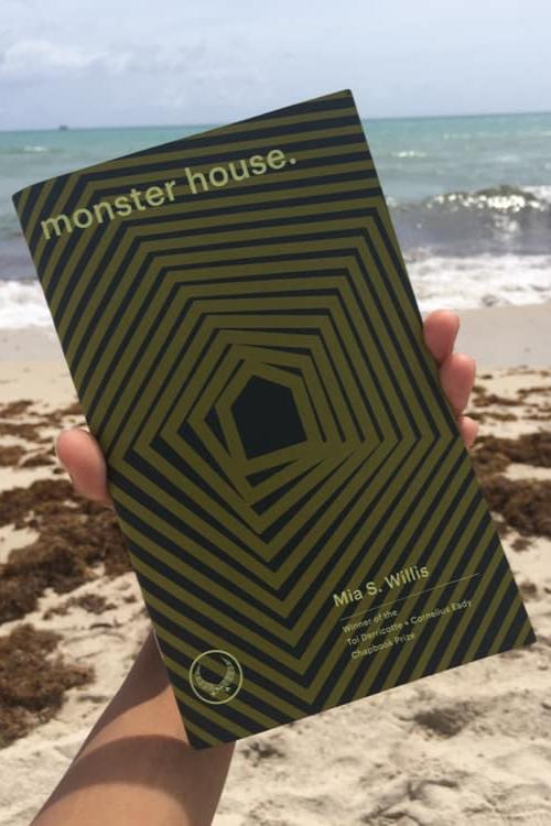 Book cover of monster house. by Mia S. Willis