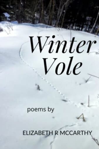 Book cover of Winter Vole by Elizabeth R. McCarthy