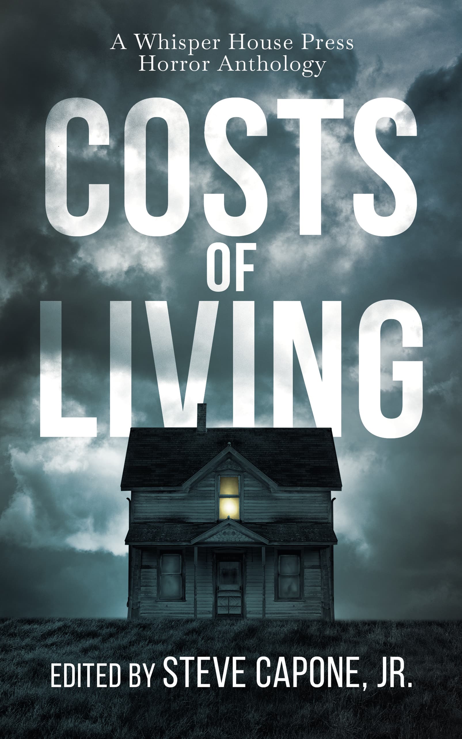 Book cover of Costs of Living by Steve Capone Jr