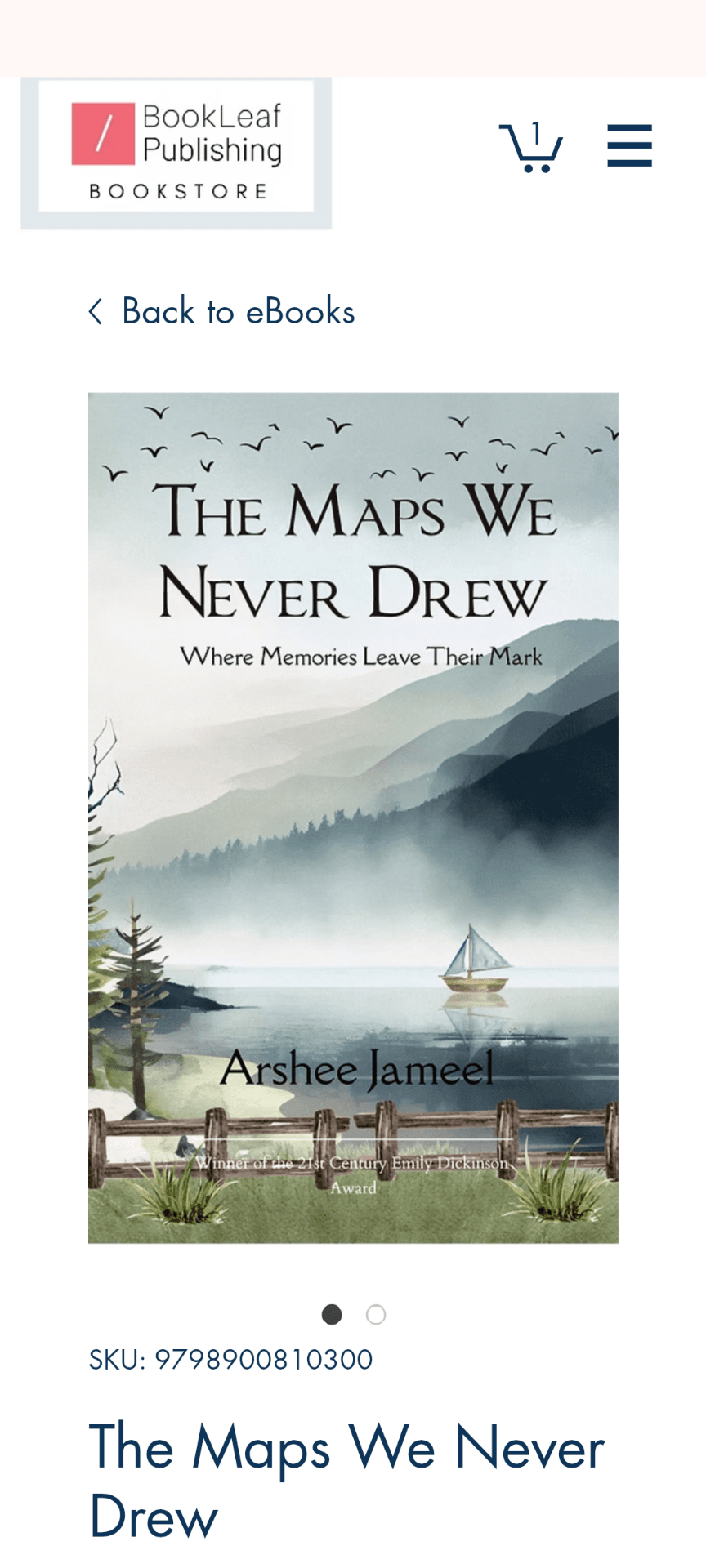 Book cover of The Maps We Never Drew by Arshee Jameel